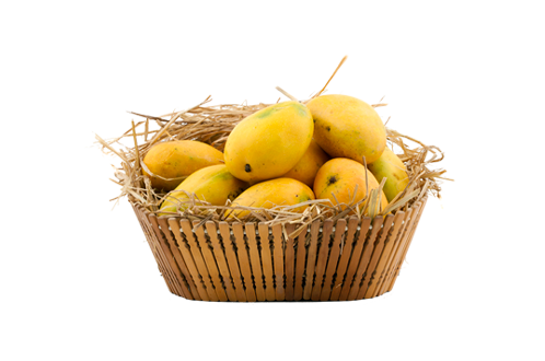 100% Premium Quality Garden Fresh Mango